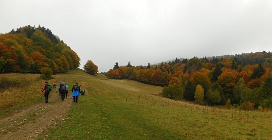 Na przełęcz oddzielającą Kýčerę od Wysokiej.