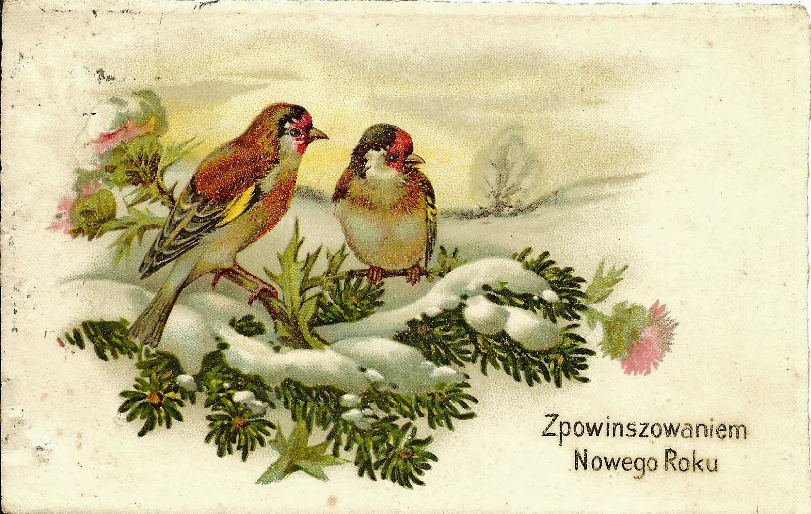 stare-poczt-wki-nowy-rok-polskie-poczt-wki