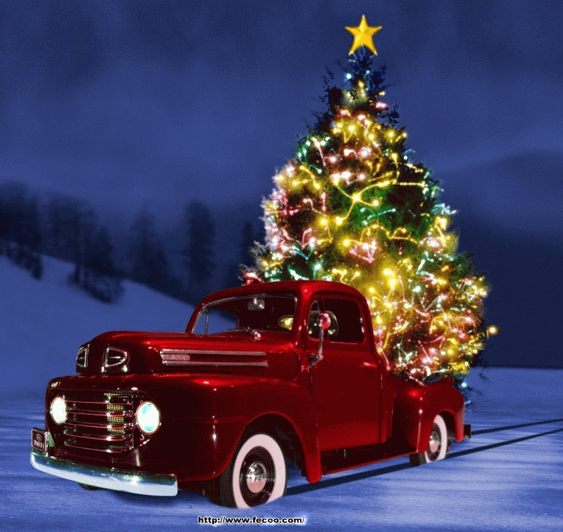 My Thoughts in Rhyme A Christmas Tree's Wish