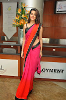 HeyAndhra Deeksha Panth Latest Saree Photo Shoot HeyAndhra.com