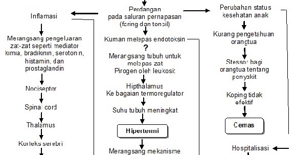 Erwin Amaterasu : Laporan Pendahuluan Ispa