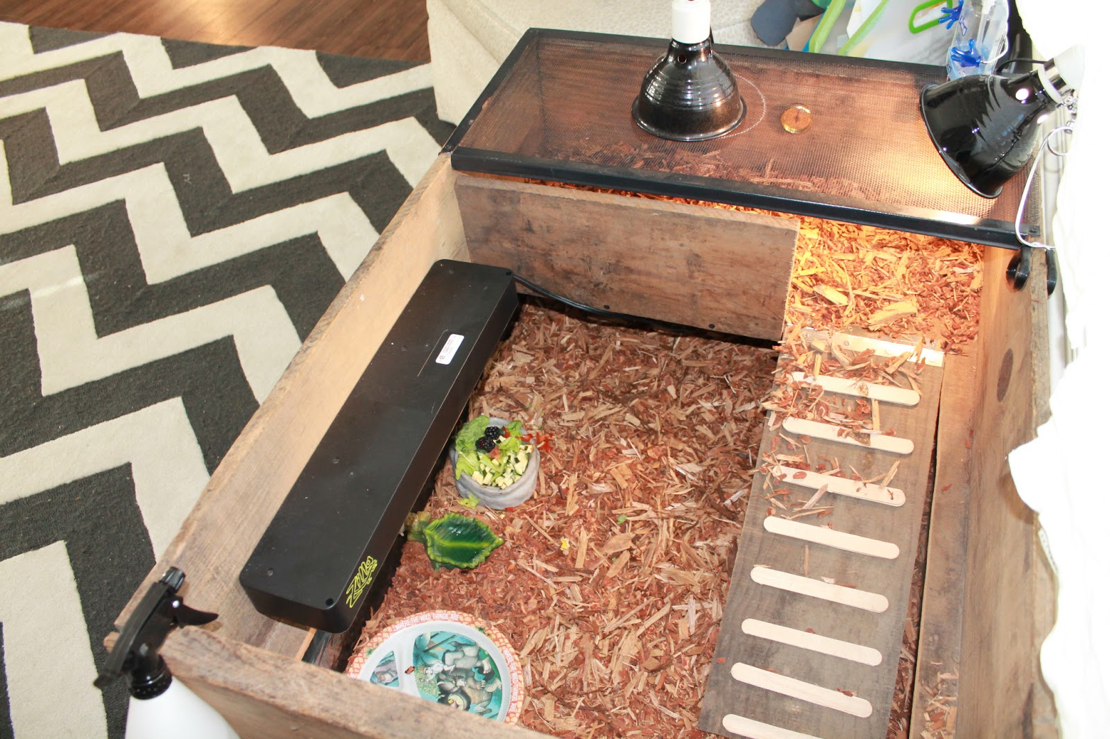 Creatively Quirky at Home Meet Tippy our Red Footed Tortoise Two Story