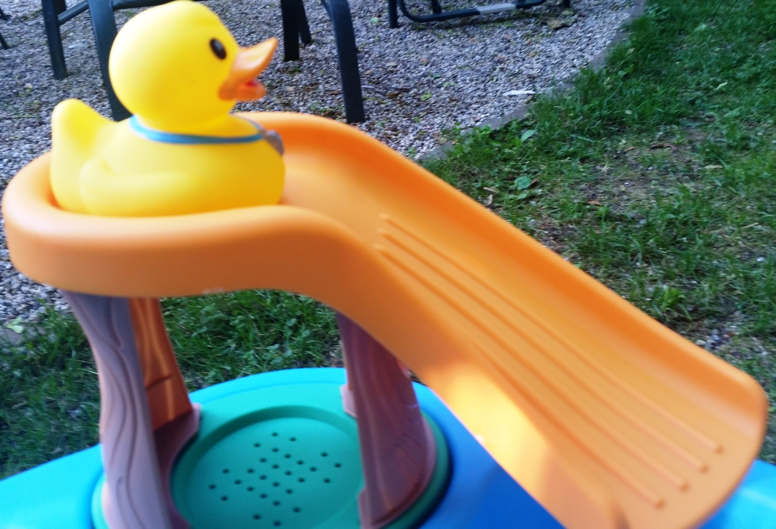 Writing Straight from the Heart Daffy Duck Pond for Little Ones