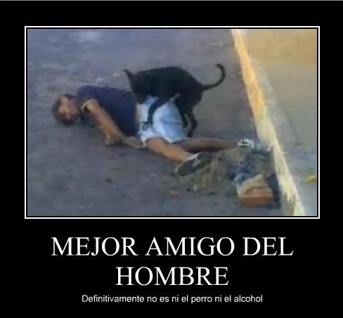 graciosas%2Bchuscas%2B