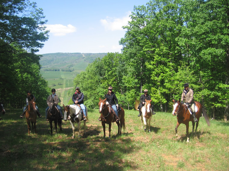 A group of trail riders at Sky Meadows State Park