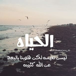 صور جميله عن الحياة صور جميله عن الحياة