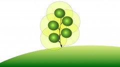 The Java Spring Tutorial: Learn Java's Popular Web Framework The Java Spring Tutorial: Learn Java's Popular Web Framework