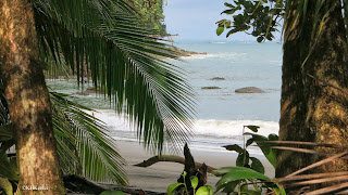 looking back at the beach, Costa Rica