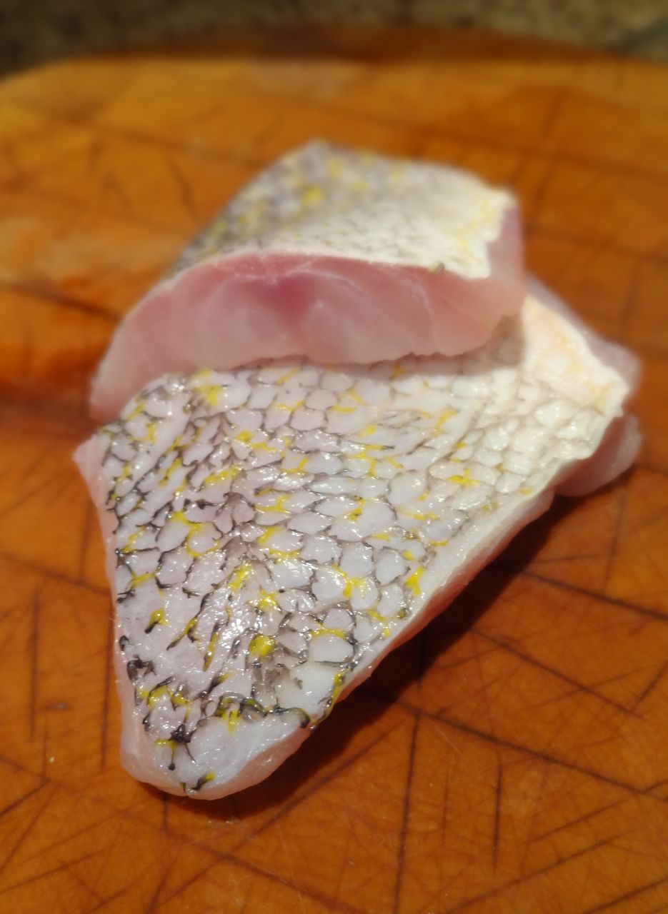 Scrumpdillyicious Grilled Grouper with Tomato Caper Sauce & Sprouts