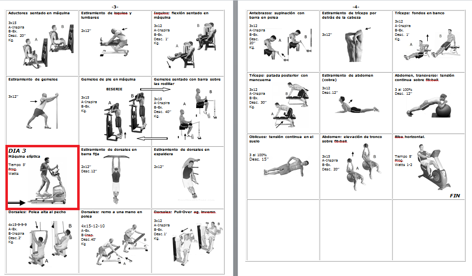 Rutinas de Gimnasio: RUTINA DE 4 DIAS Rutinas de Gimnasio: RUTINA DE 4 DIAS