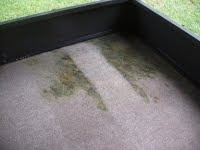 Professional Carpet Cleaning