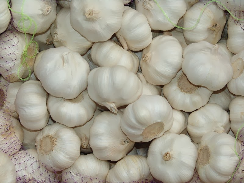 Australian Garlic VS Chinese Garlic