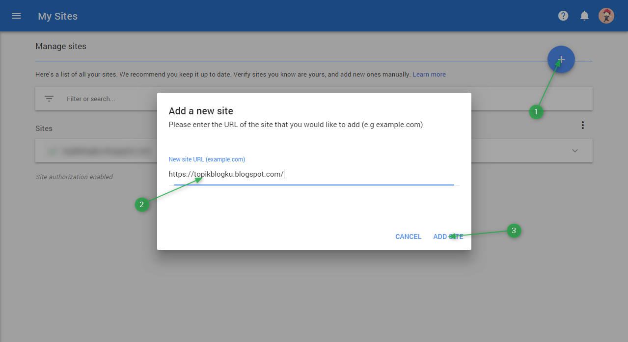 Misteri Iklan AdSense yang Hilang: Mengapa Iklan Anda Tidak Muncul di Website WordPress?