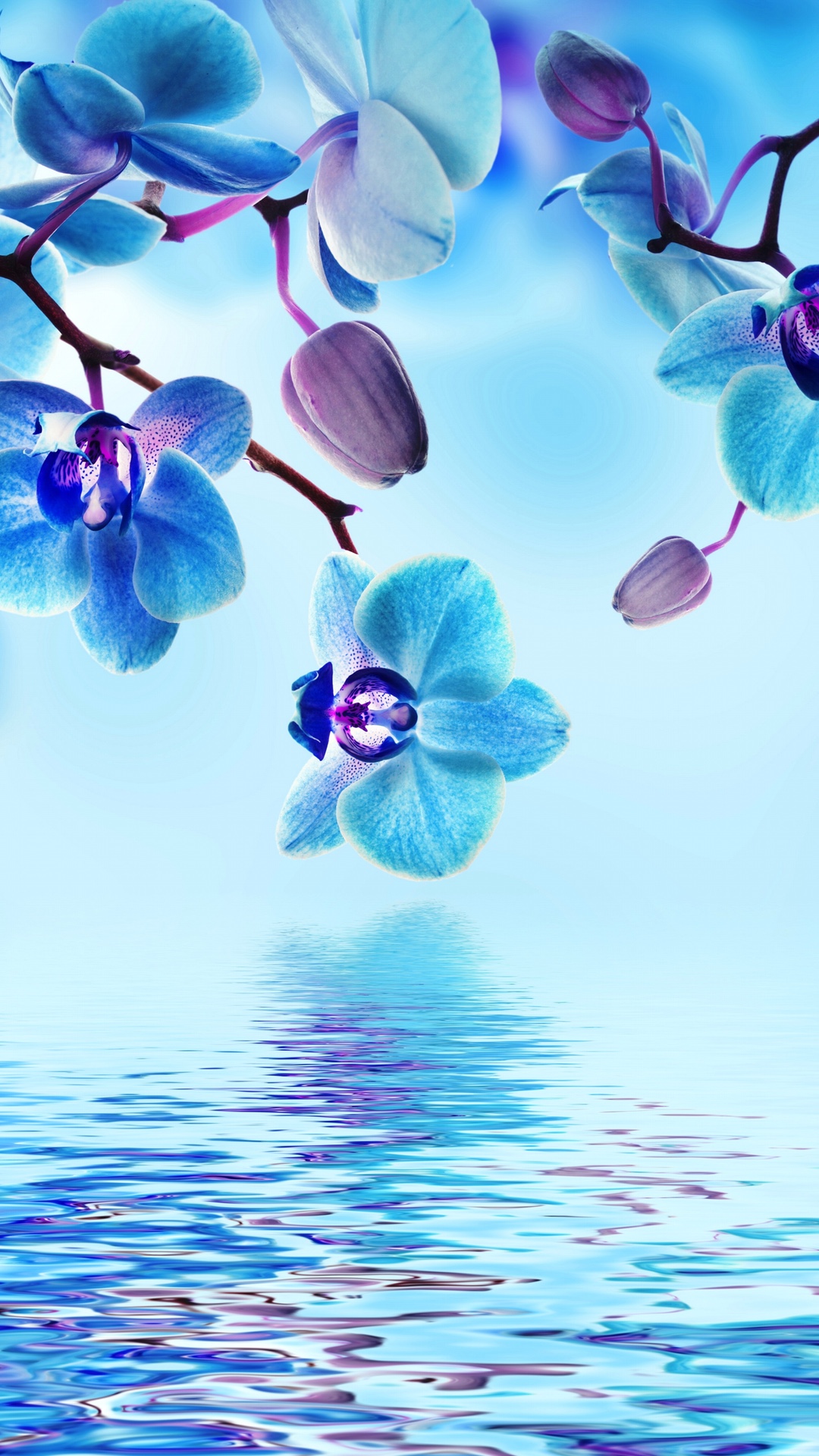 fond d'ecran xperia m2