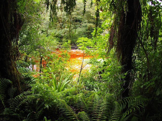 Oparara Basin, Neuseeland