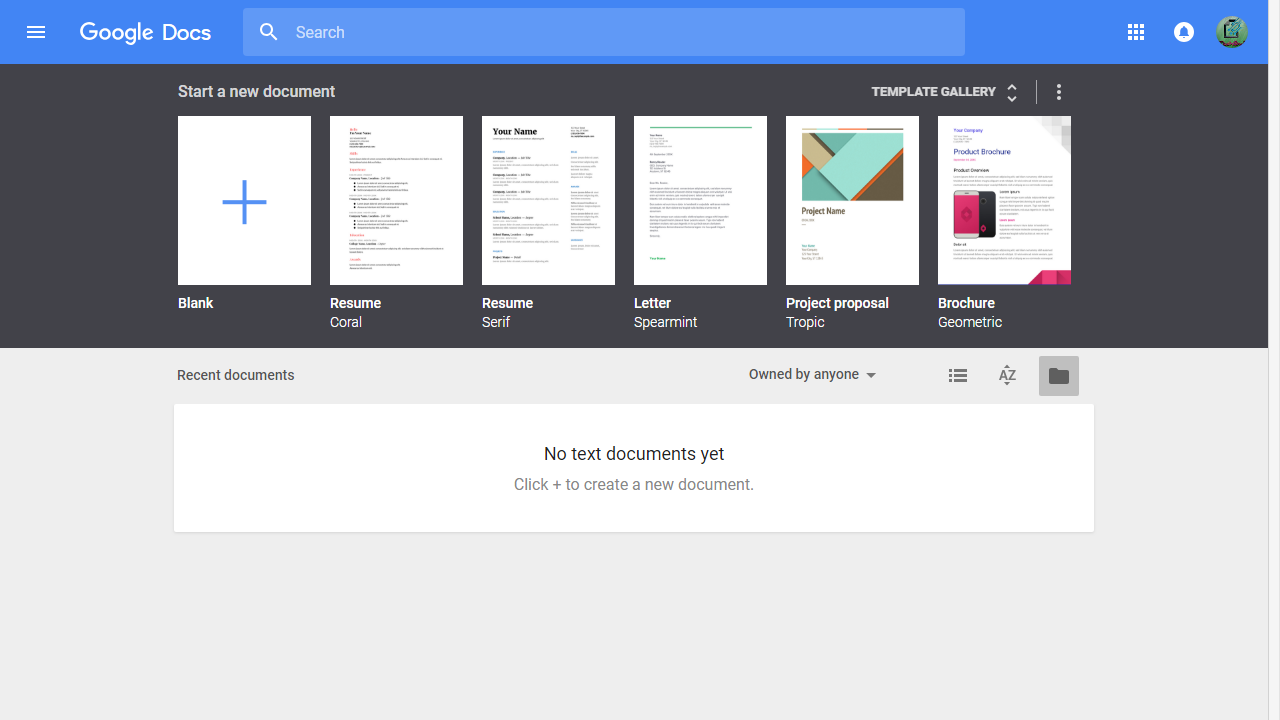 Google Docs window