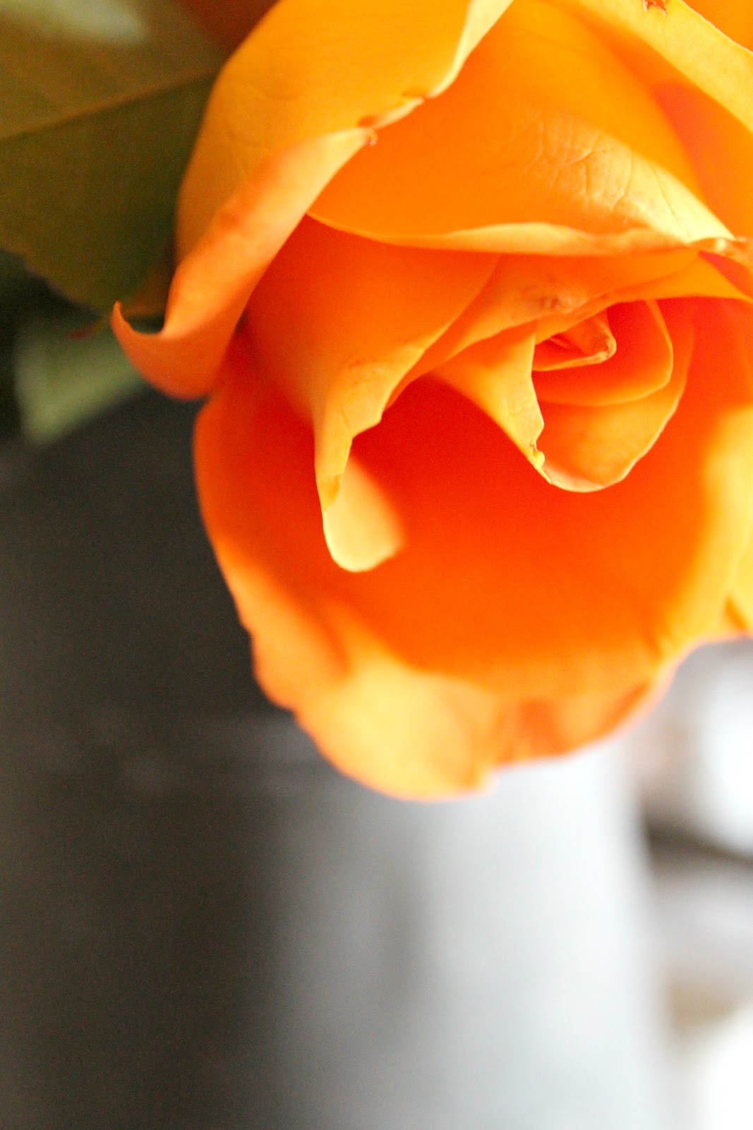 Can't Go Wrong with Roses Rusty Hinge