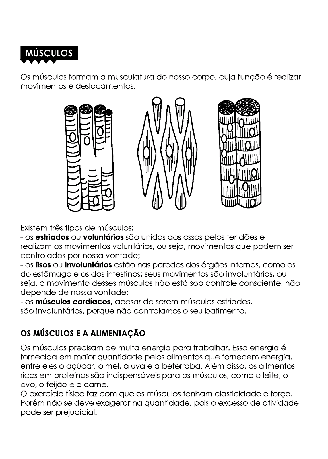 Atividades do Corpo Humano para 4º ano — SÓ ESCOLA