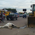 Semovientes, peligro frecuente en las vías de Estelí.