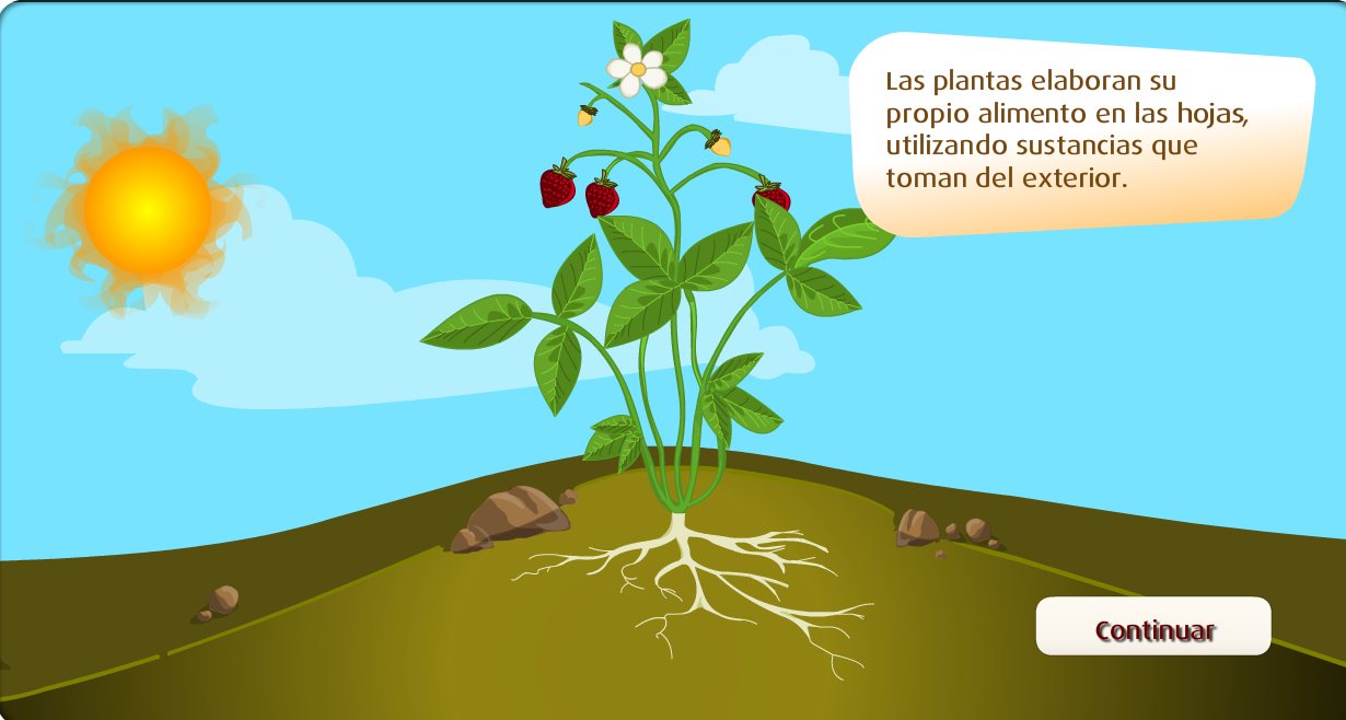 Mi clase de tercero LA NUTRICIÓN DE LAS PLANTAS