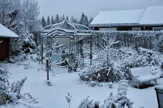 Min vinterträdgård