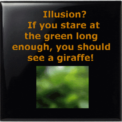 [Image: illusion.gif]