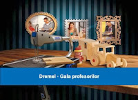 Prima editie a „Galei Profesorilor” a premiat profesorii parteneri ai „Clubului de Bricolaj Dremel”