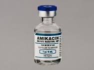 Amikacin http://www.udan.name Amikacin http://www.udan.name