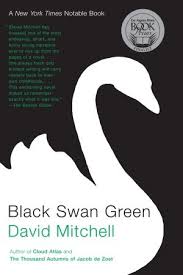 the portrayal of adolescence in david mitchells novel black swan green the portrayal of adolescence in david mitchells novel black swan green