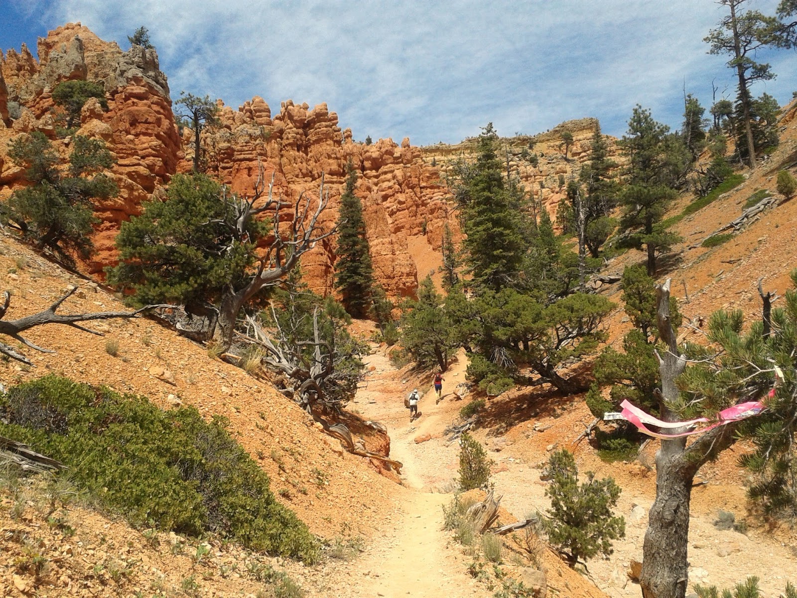 Running Delights Bryce Canyon 50k Ultra Race