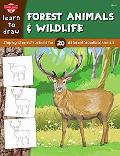 Learn to Draw Forest Animals & Wildlife