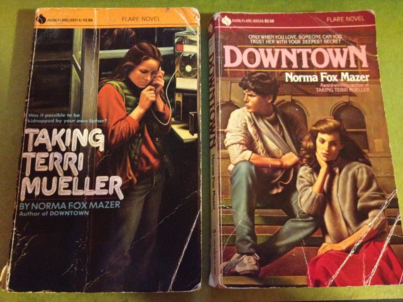 Norma fox mazer karen ritter essay 08 picture