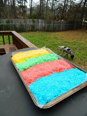 Four rows of colored rice in a tray set outside on a wooden table to dry out