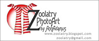 BLOG GRAPHICS and DESIGN BY ZOOLATRY