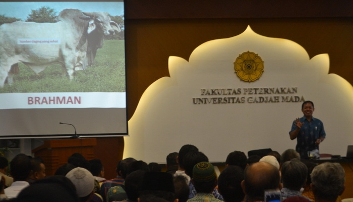 Jangan Beli Sapi Pemakan Sampah, Ini Alasannya