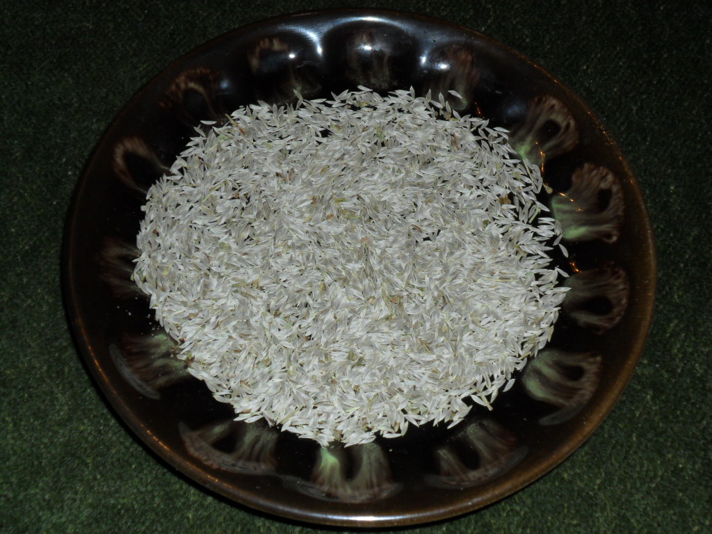 турецкий фасолевый салат. какие семена добавляют в салат. смесь семян древо жизни для салатов 200 г. семена чиа в салате. какие семена добавляют в салат.