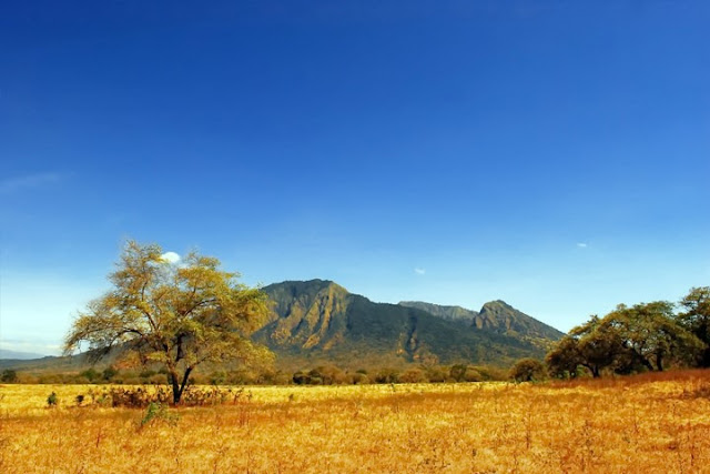 Taman Nasional Baluran Dengan Pemandangan Eksotis Ala Afrika Taman Nasional Baluran Dengan Pemandangan Eksotis Ala Afrika