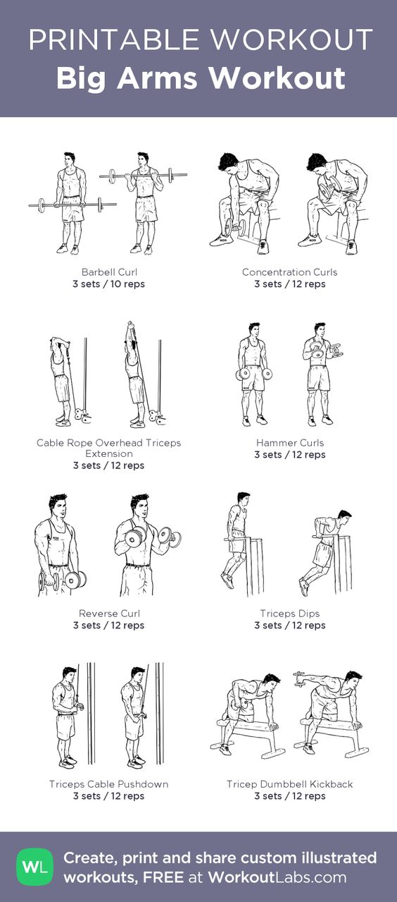 bodybuilding figurines: Printable Workout for Bodybuilders: Workout ...