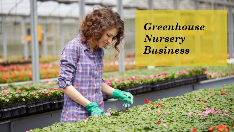 How To Start A Greenhouse Nursery Business World Agriculture