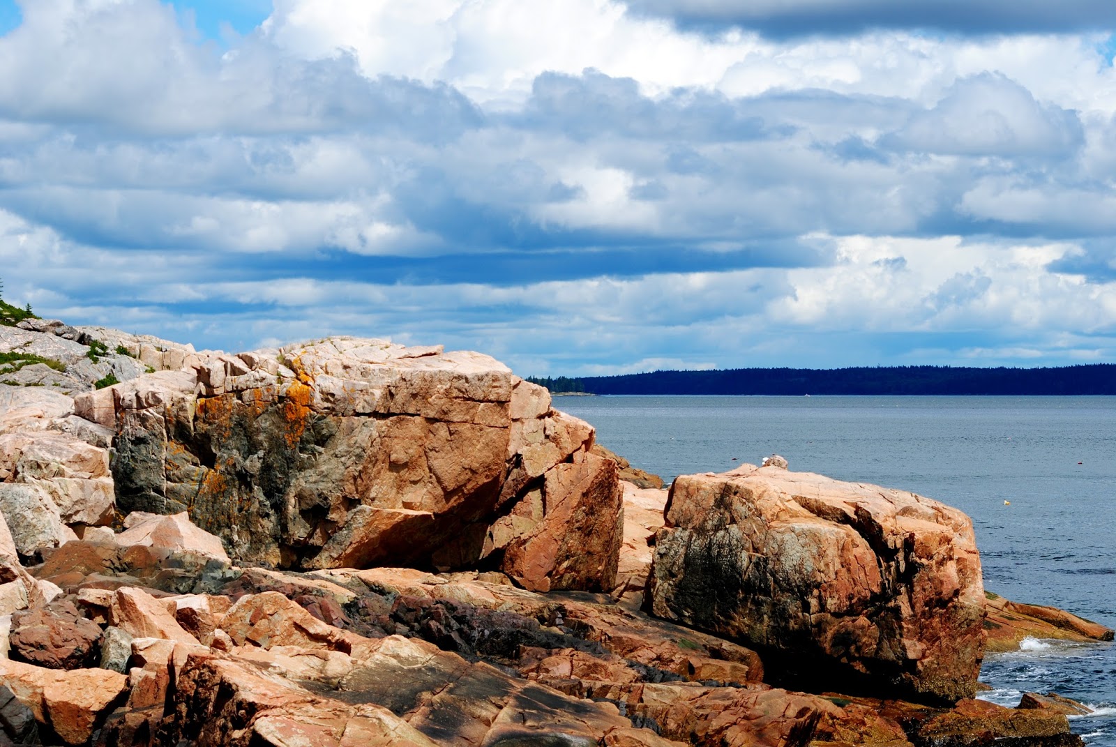 Field Notes and Photos Maine Coastal Landscapes