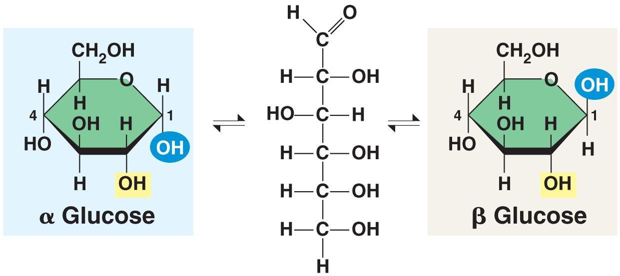 Циклическая формула глюкозы. Альфа и бета Глюкоза формула. Структурная формула Альфа и бета Глюкозы. Бета Глюкоза формула. Альфа форма и бета форма Глюкозы.