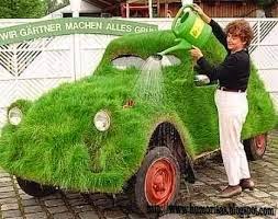 Consultorio de Monstrua 6 Consultorio de Monstrua 6 coche hierba