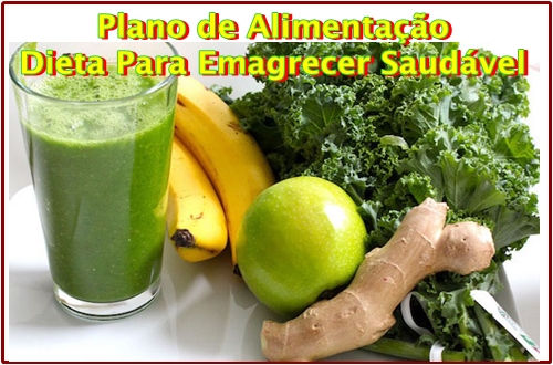 Plano de Alimentação Dieta Para Emagrecer Saudável