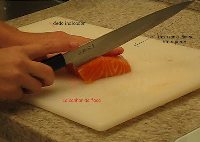 sashimi salmão sashimi salmão