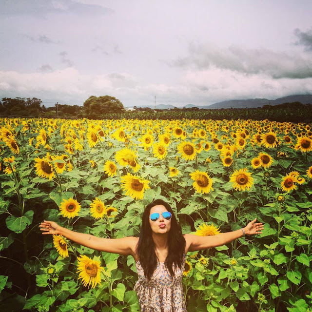 Priya Anand Hot upcoming movies List, actress Images,DOB,Biography,marriage,feet,facebook,Songs,instagram,Twitter Priya Anand Hot upcoming movies List, actress Images,DOB,Biography,marriage,feet,facebook,Songs,instagram,Twitter