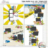 Template : Torn Paper Play 3 by Akizo Designs