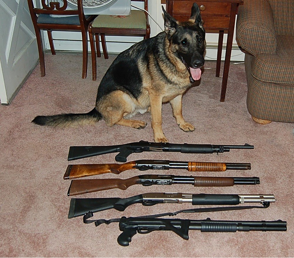 What's Next The Dog??? Some Shot Guns Banned?? Why??