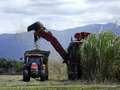 http://gritandgiggles.blogspot.com.au/2015/08/sexy-tractors.html