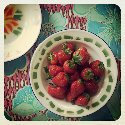 ByHaafner, strawberries, oilcloth