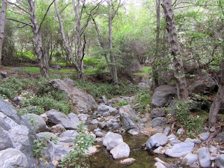 Fish Canyon Trail